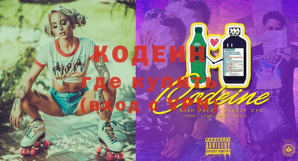 амф Горняк