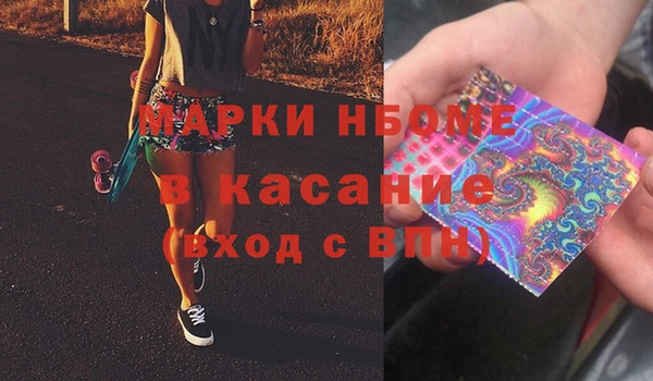 индика Богородск