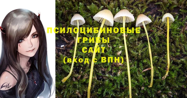 дживик Гусев