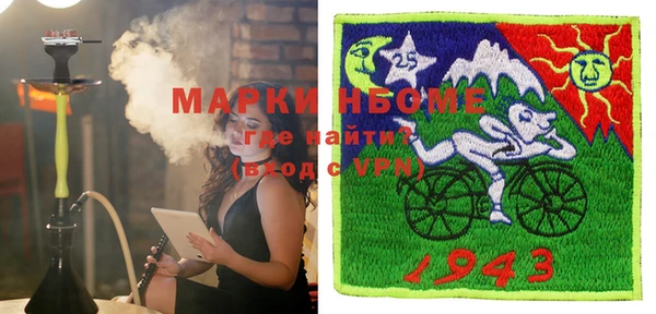 прущие грибы Вязники