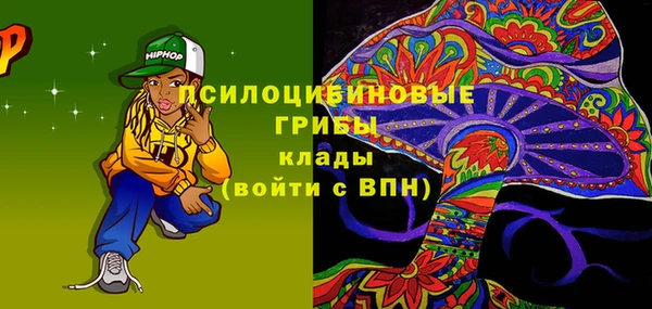 прущие грибы Вязники