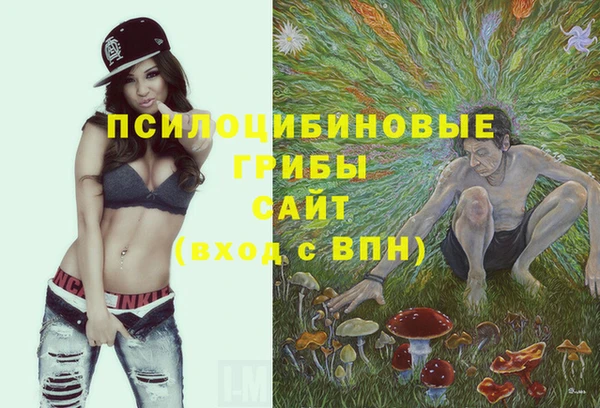 марки nbome Гусиноозёрск