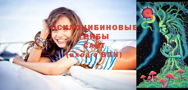 mdpv Гусь-Хрустальный