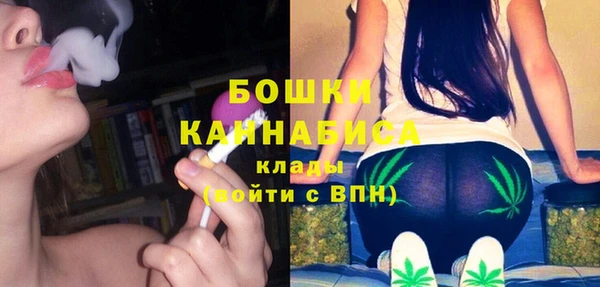 амф Горняк