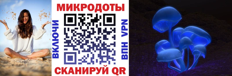 Псилоцибиновые грибы прущие грибы  дарк нет состав  Гусь-Хрустальный 